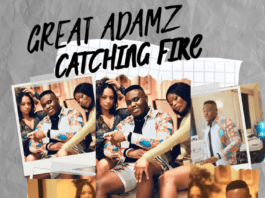 Great Adamz - Catching Fire (Artwork) | AceWorldTeam.com