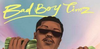 Bad Boy Timz - Big Money (prod. by BeatsByTimmy) Artwork | AceWorldTeam.com