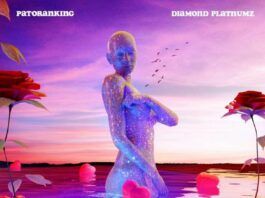 Patoranking - Kolo Kolo (feat. Diamond Platnumz) Artwork | AceWorldTeam.com