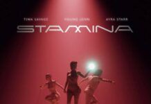 Tiwa Savage - Stamina (feat. Ayra Starr & Young Jonn) Artwork | AceWorldTeam.com
