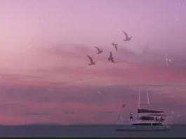 Ruger and Tiwa Savage in a vibrant Afrobeat collaboration for Toma Toma