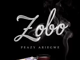 Peazy Ariegwe promotes Zobo, his new Afro-fusion single rooted in resilience.