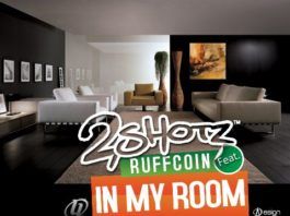 2shotz ft. Ruffcoin - IN MY ROOM [prod. by Big Swish] Artwork | AceWorldTeam.com