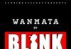 Blink - WANMATA Artwork | AceWorldTeam.com