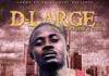 D-Large ft. Sarkodie & TM9ja - ONYE NWERE EGO [Money No Be Problem ~ prod. by Oga Jojo] Artwork | AceWorldTeam.com