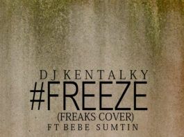 DJ Kentalky ft. Bebe Sumtin - FREEZE [a French Montana cover] Artwork | AceWorldTeam.com