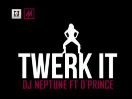 DJ Neptune ft. D'Prince - TWERK IT [prod. by Don Jazzy & Baby Fresh] Artwork | AceWorldTeam.com