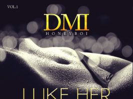 DMI - I LIKE HER [prod. by Young D] Artwork | AceWorldTeam.com
