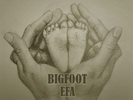 Efa & Bigfoot [of Micworx] - #SEPTEMBER Artwork | AceWorldTeam.com