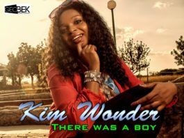 Kim Wonder - THERE WAS A BOY Artwork | AceWorldTeam.com