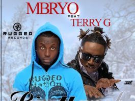 Mbryo ft. Terry G - BIG YANSH! Remix [prod. by L37] Artwork | AceWorldTeam.com
