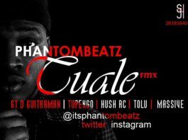 Phantom Beatz ft. GT Da Guitarman, Tupengo, Tolu, Massive & Hush RC - TUALE Remix Artwork | AceWorldTeam.com