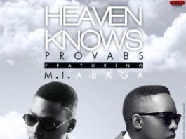 Provabs ft. M.I - HEAVEN KNOWS Artwork | AceWorldTeam.com