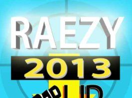 Raezy - 2013 WRAP UP Artwork | AceWorldTeam.com