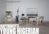 RapTrinity - YOUNG NIGERIAN [prod. by Mr. Ebis] Artwork | AceWorldTeam.com