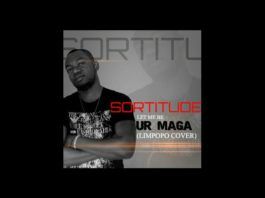 Sortitude - LET ME BE UR MAGA [a Kcee cover] Artwork | AceWorldTeam.com