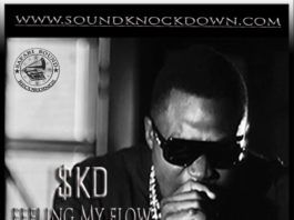 SoundKnockDown a.k.a $KD - FEELING MY FLOW Artwork | AceWorldTeam.com