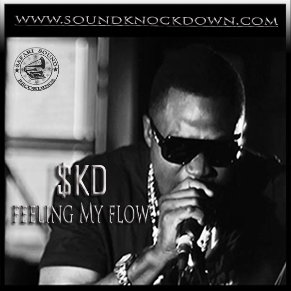 SoundKnockDown a.k.a $KD - FEELING MY FLOW Artwork | AceWorldTeam.com