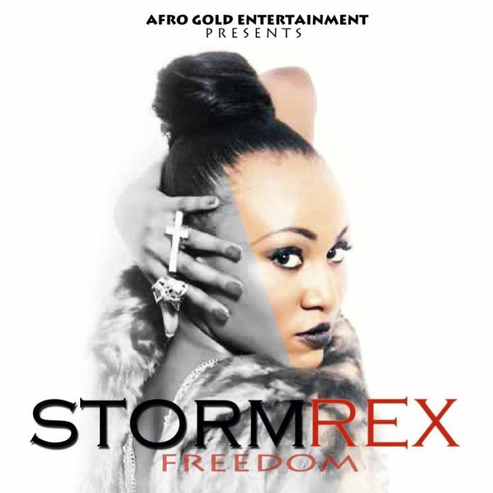 StormRex - FREEDOM Artwork | AceWorldTeam.com