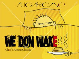 SugarCane - WE DON WAKE [prod. by Antras] Artwork | AceWorldTeam.com