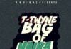 T-Twyne - BAG OF NAIRA [a Rick Ross cover] Artwork | AceWorldTeam.com