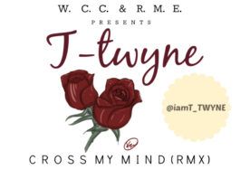 T-Twyne ft. Kevin Cossom & Damian Marley - CROSS MY MIND [Remix] Artwork | AceWorldTeam.com