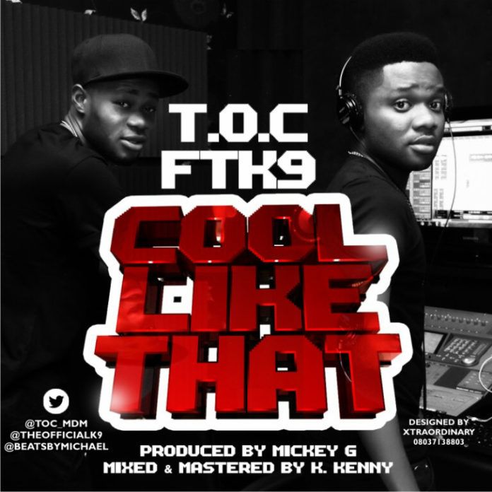 T.O.C ft.K9 - COOL LIKE THAT [prod by Mickey G] Artwork | AceWorldTeam.com