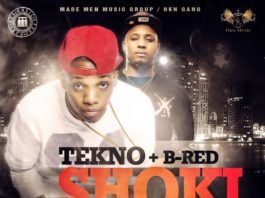 Tekno & B_Red - SHOKI [prod. by Selebobo] Artwork | AceWorldTeam.com