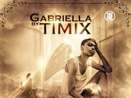 Timix - GABRIELLA [prod. by IceMage] Artwork | AceWorldTeam.com