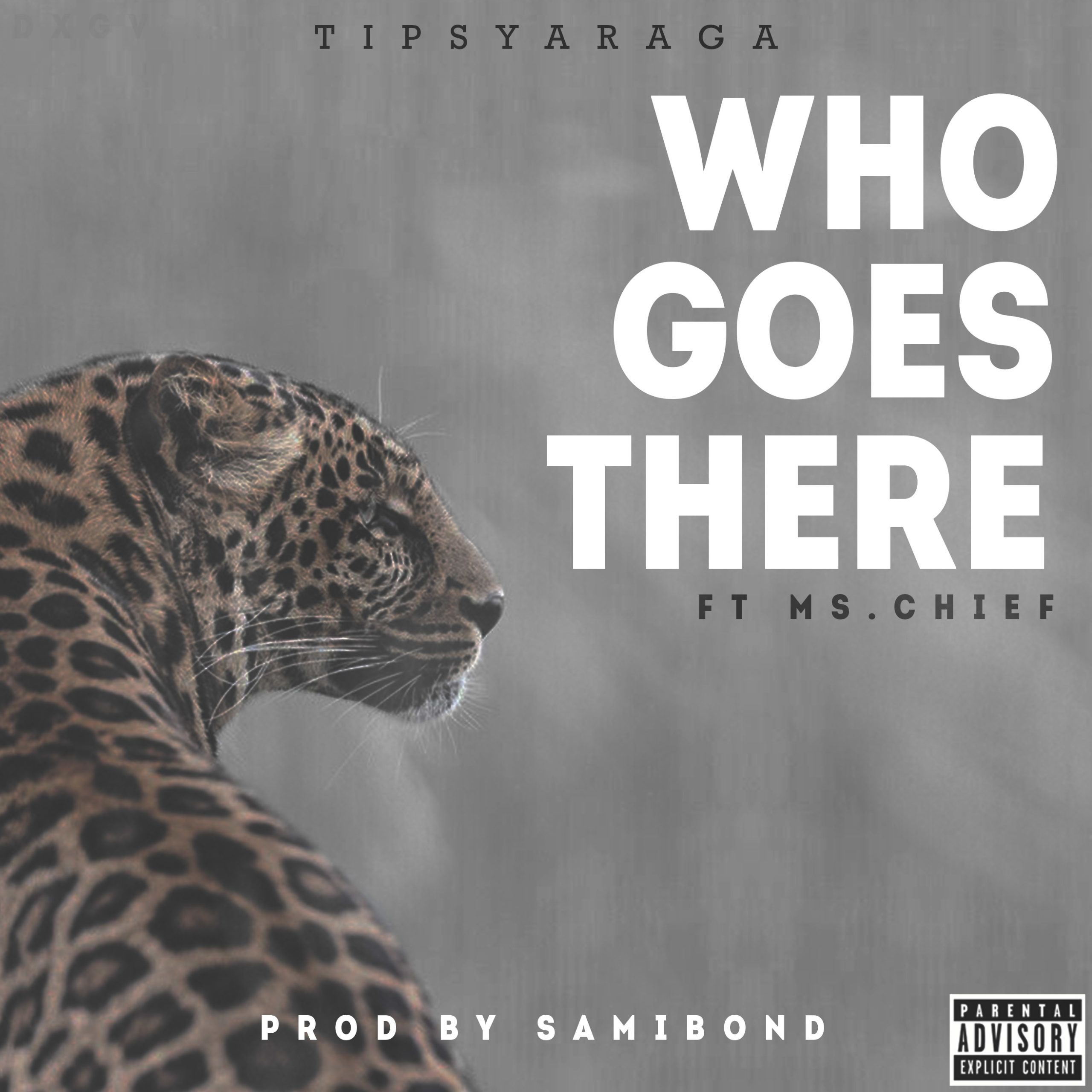 Tipsy Araga ft. Ms. Chief - WHO GOES THERE [prod. by Samibond] Artwork | AceWorldTeam.com