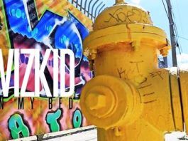Wizkid - IN MY BED [Official Video] Artwork | AceWorldTeam.com