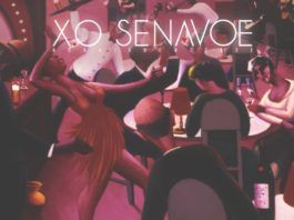 X.O Senavoe ft. Mr. Eazi - FEVER [prod. by PeeWezel] Artwork | AceWorldTeam.com