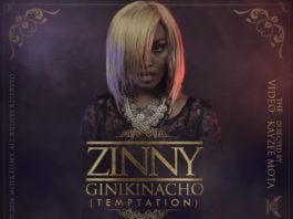 Zinny - GINIKINACHO [Temptation ~ Official Video] Artwork | AceWorldTeam.com